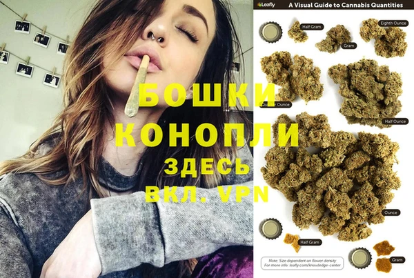крисы Володарск