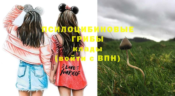 молекула духа Вязники