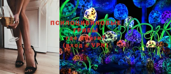 крисы Володарск