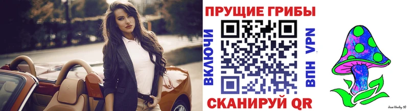 blacksprut зеркало  Данков  Галлюциногенные грибы MAGIC MUSHROOMS  цена  